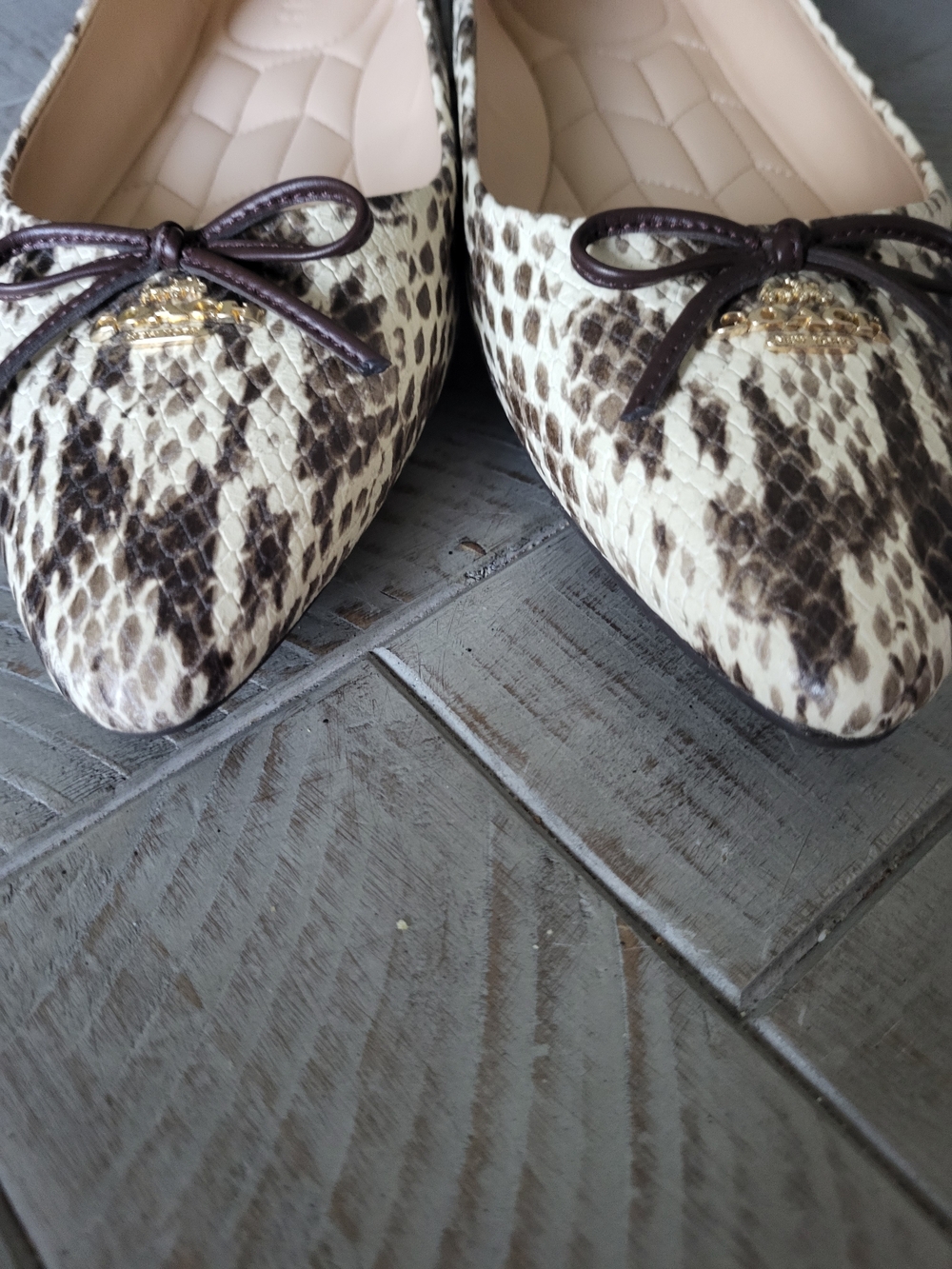 Coach Snake-Print Pointed Ballet Flats in Cream and Black - Picture 3 of 7